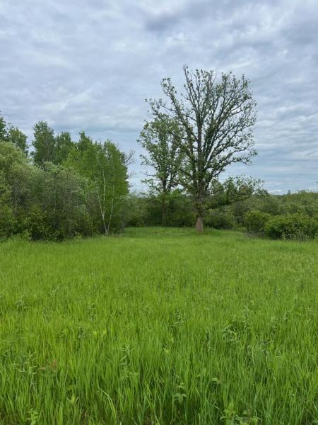 MLS #NST7034593 image #0