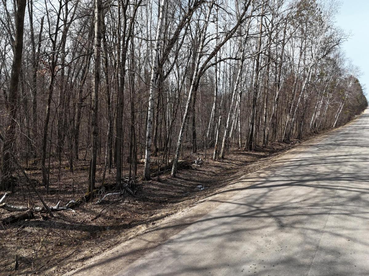 MLS #NST7040751 image #0