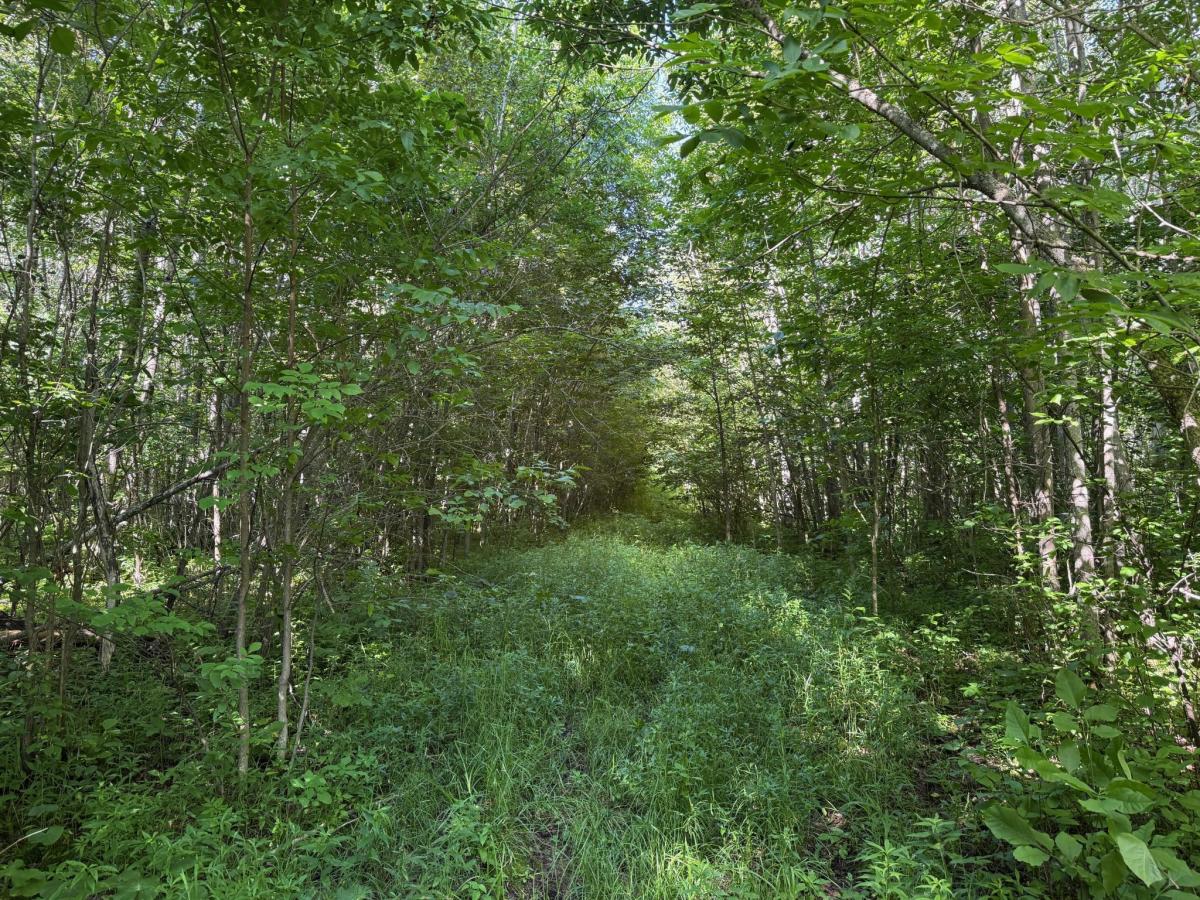 MLS #NST7050529 image #0