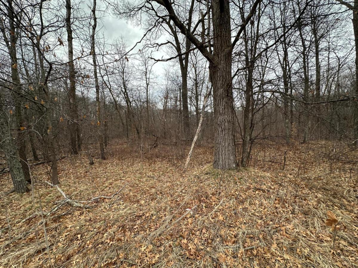 MLS #NST7055526 image #0