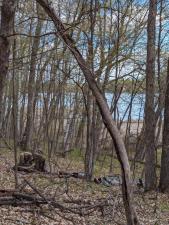 MLS #NST7058291 image #0