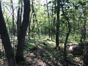 MLS #NST7065528 image #0