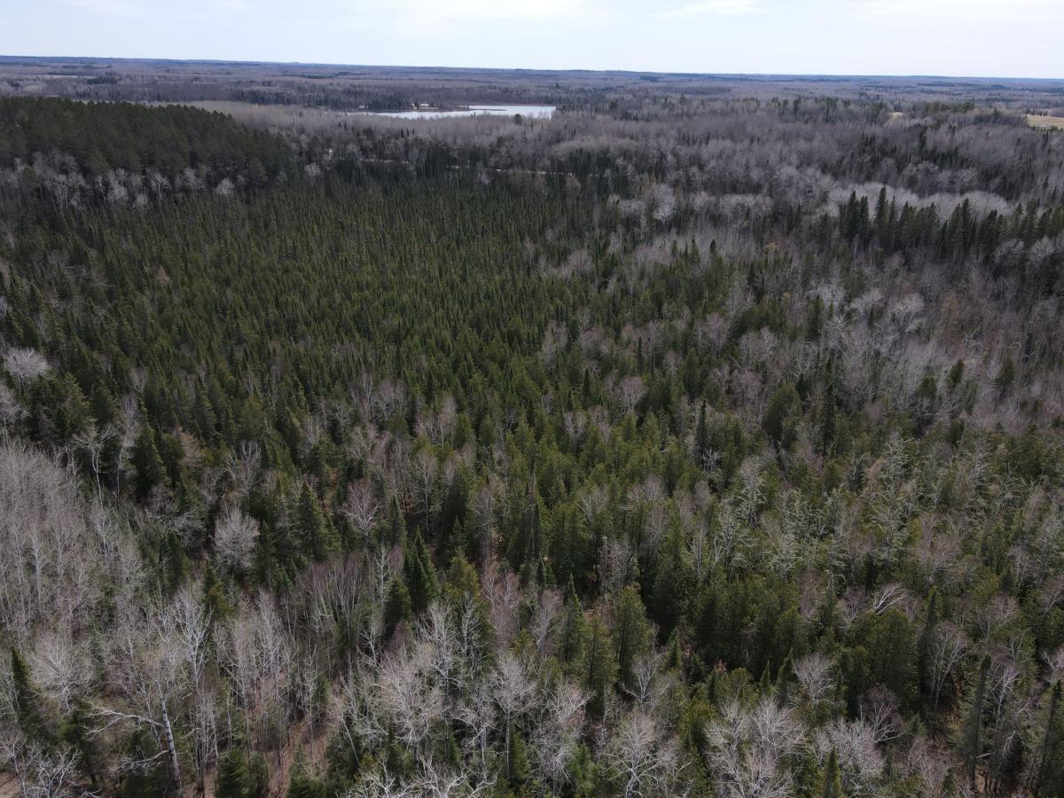 MLS #NST7069010 image #0