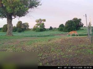 MLS #NST7075022 image #0