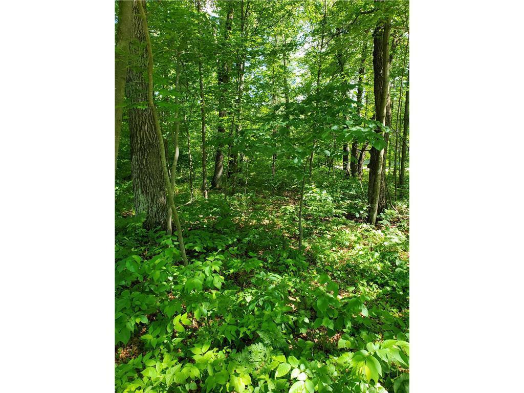 MLS #NST7075182 image #0