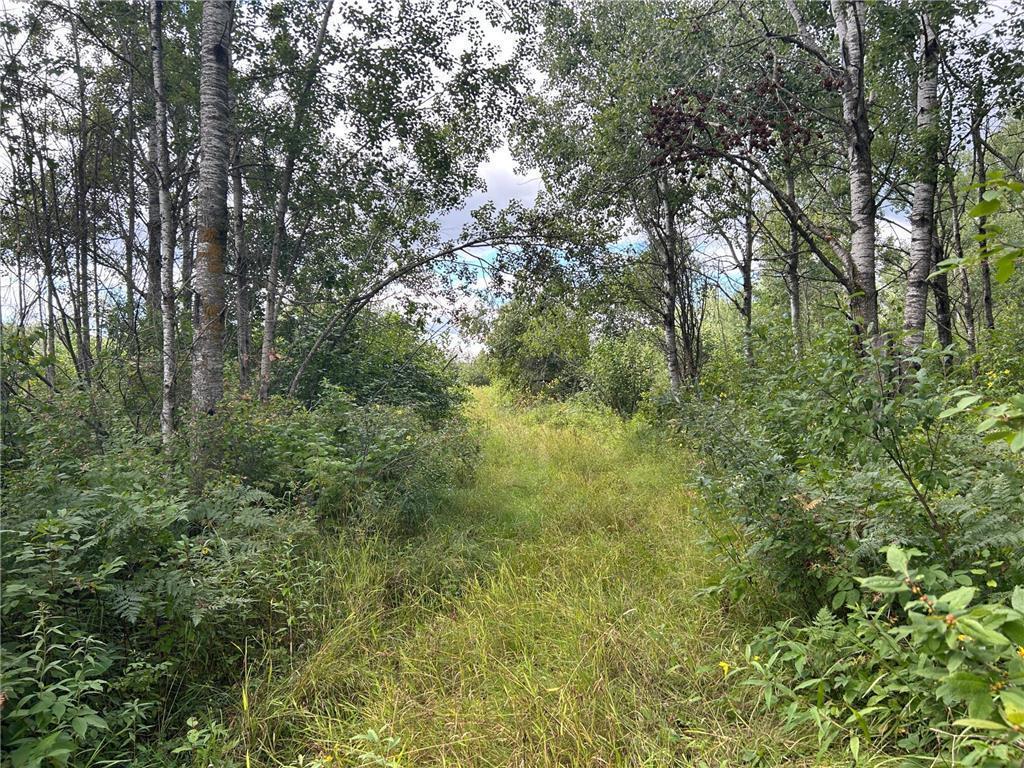 MLS #NST7076471 image #0