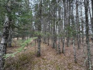 MLS #NST7077173 image #0