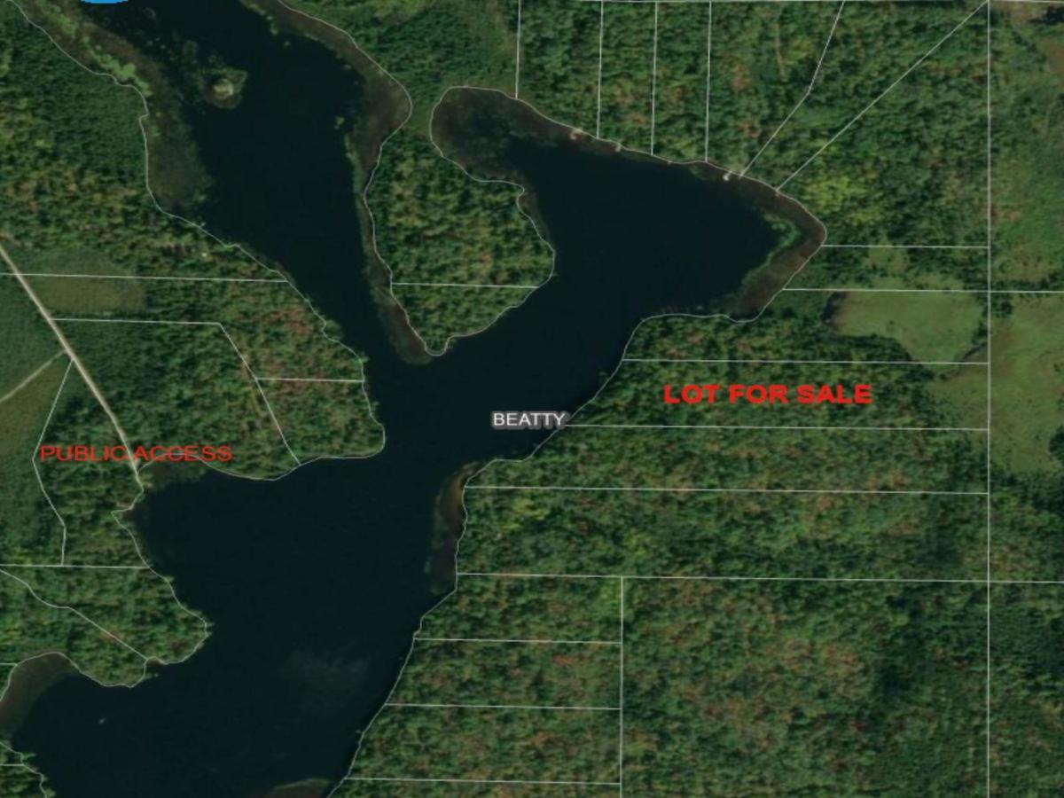 MLS #NST7080874 image #0