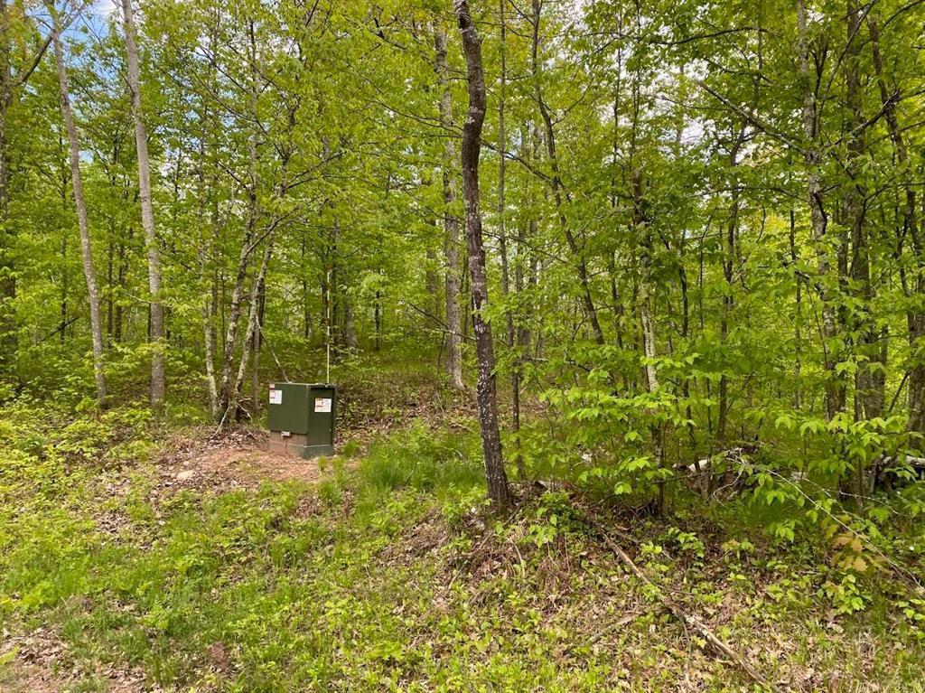 MLS #NST7087023 image #0