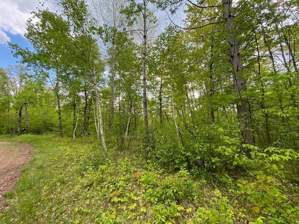 MLS #NST7087028 image #0