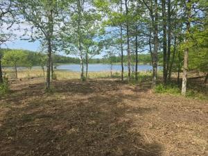 MLS #NST7087908 image #0