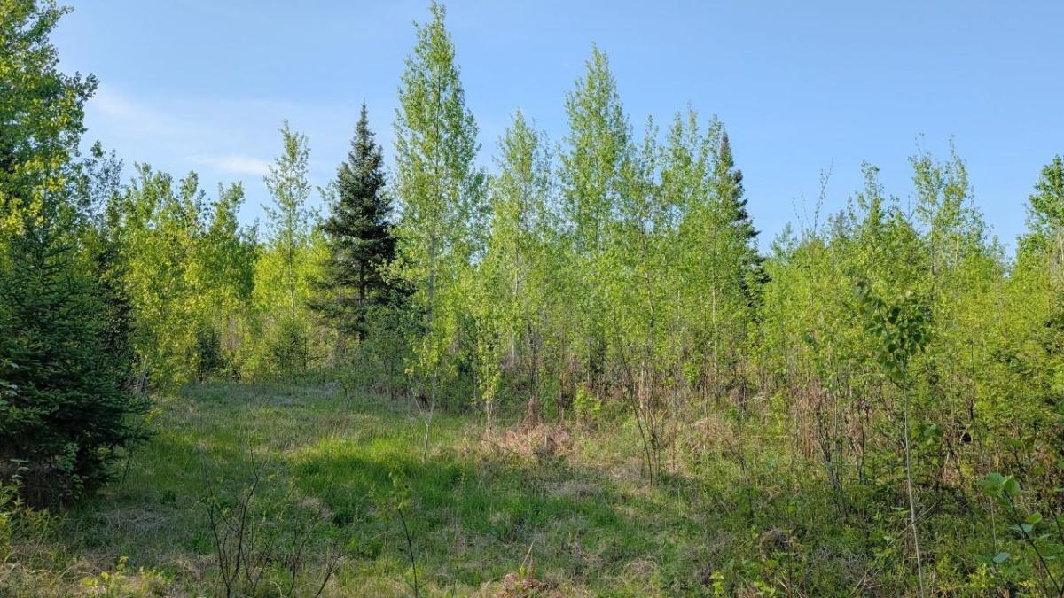 MLS #NST7088212 image #0