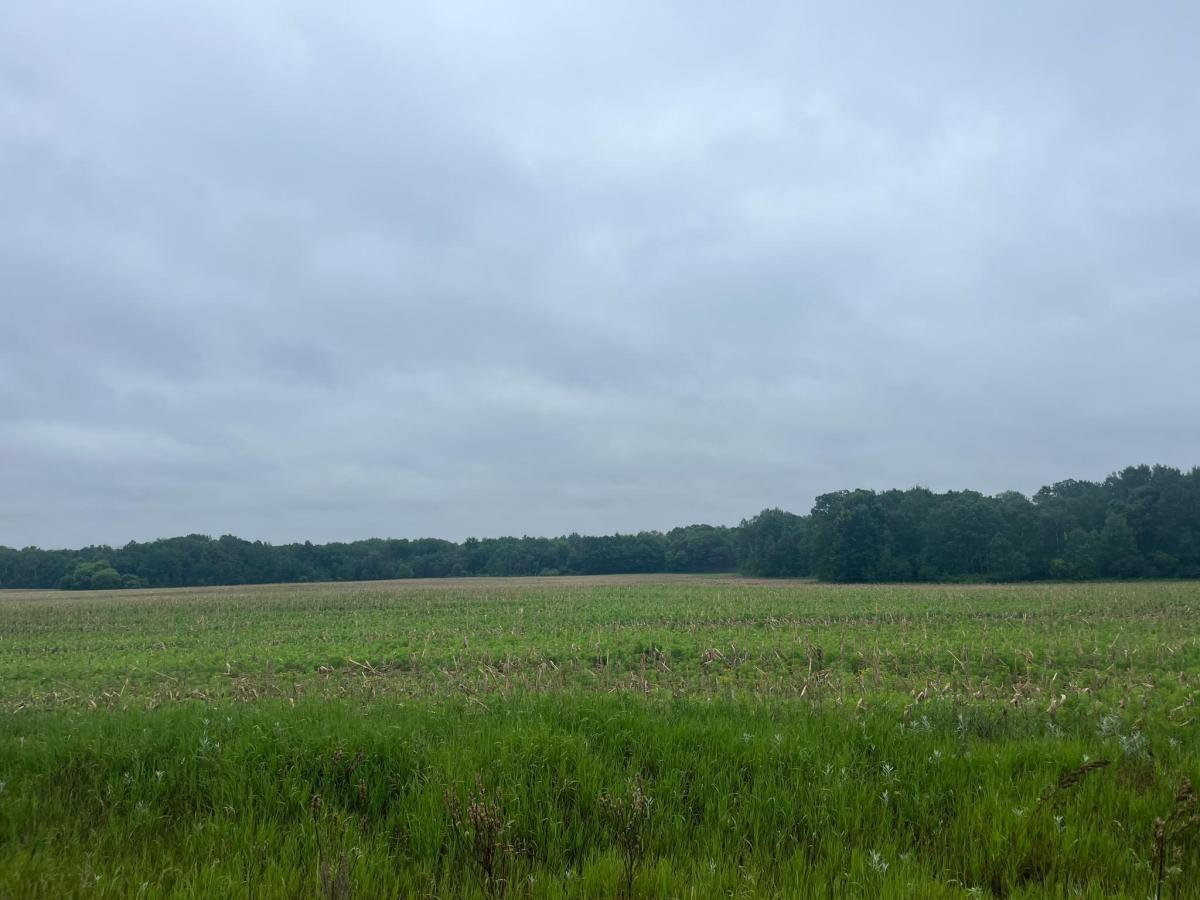 MLS #NST7088837 image #0