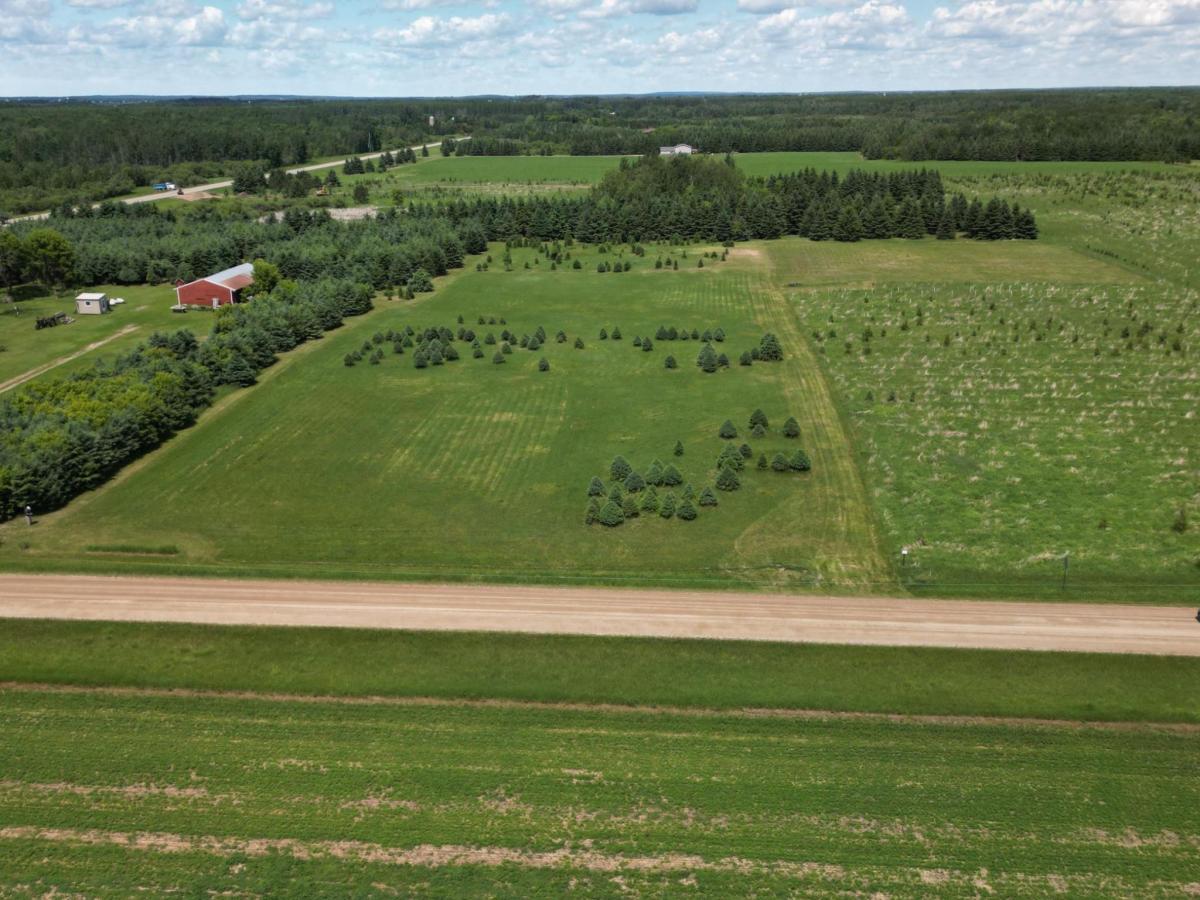MLS #NST7091732 image #0