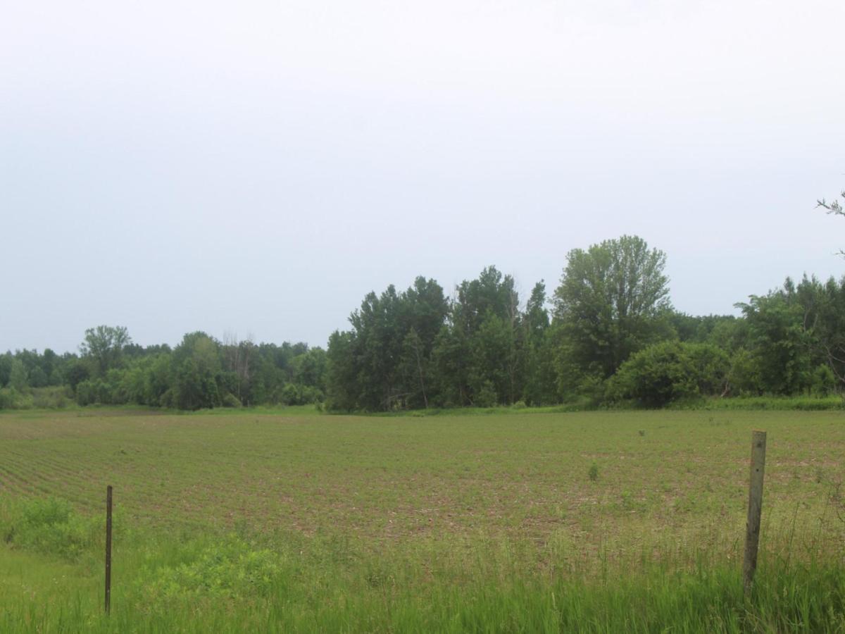 MLS #NST7091971 image #0