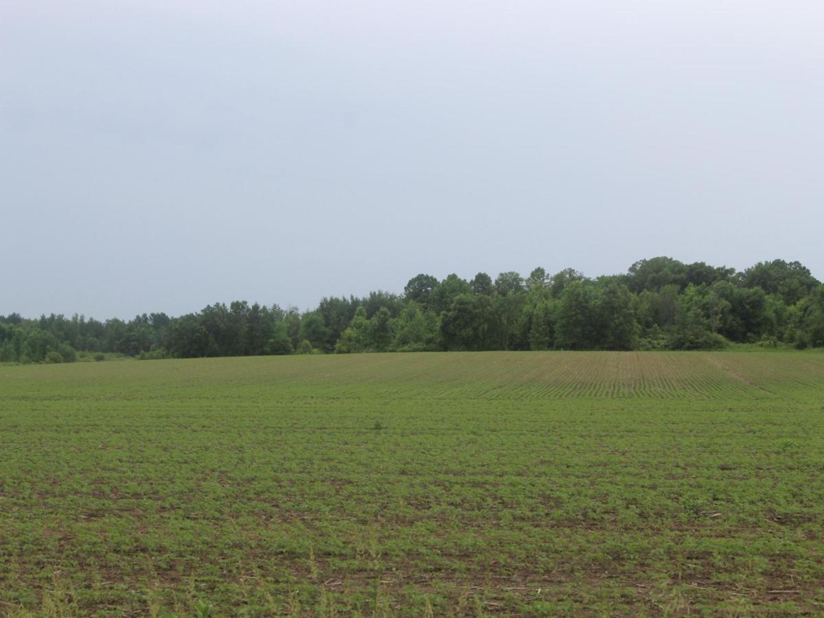 MLS #NST7092179 image #0