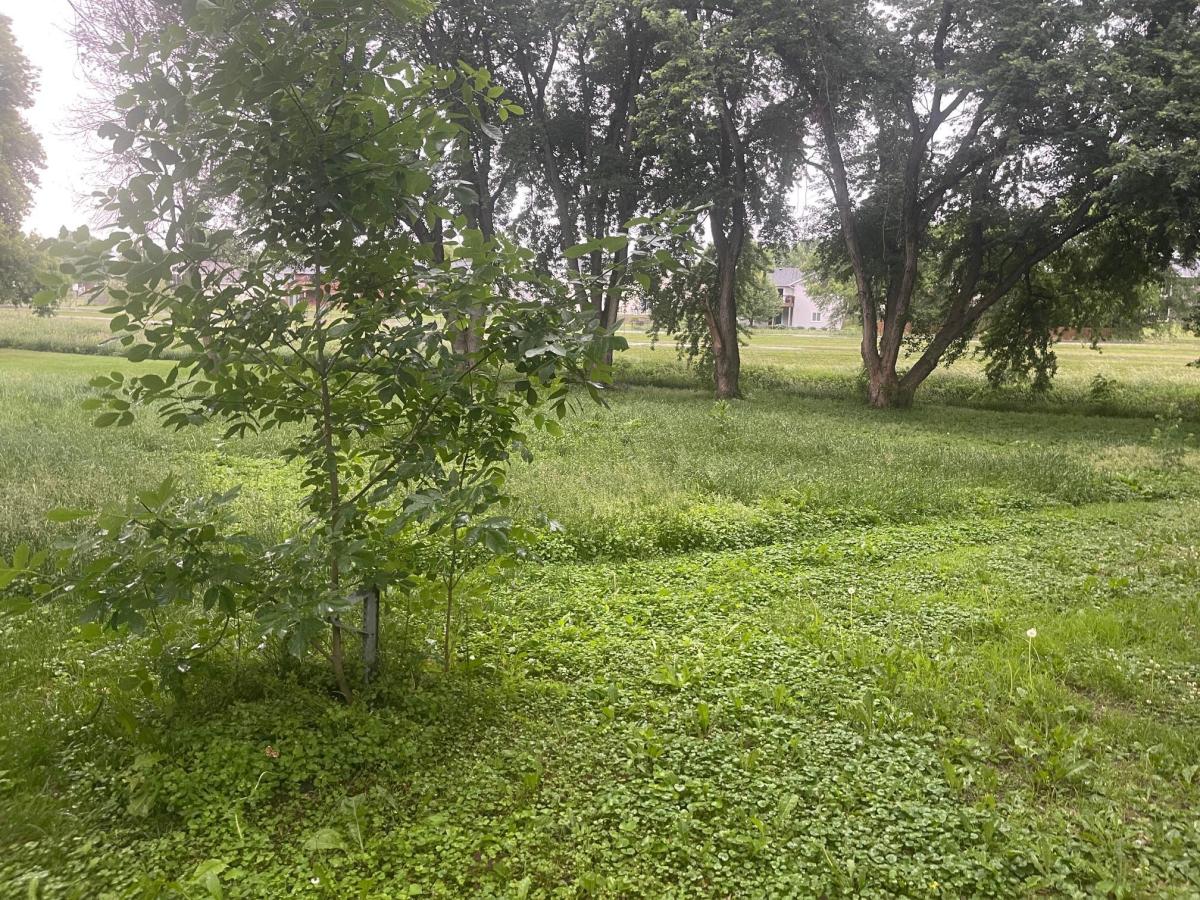 MLS #NST7095047 image #0