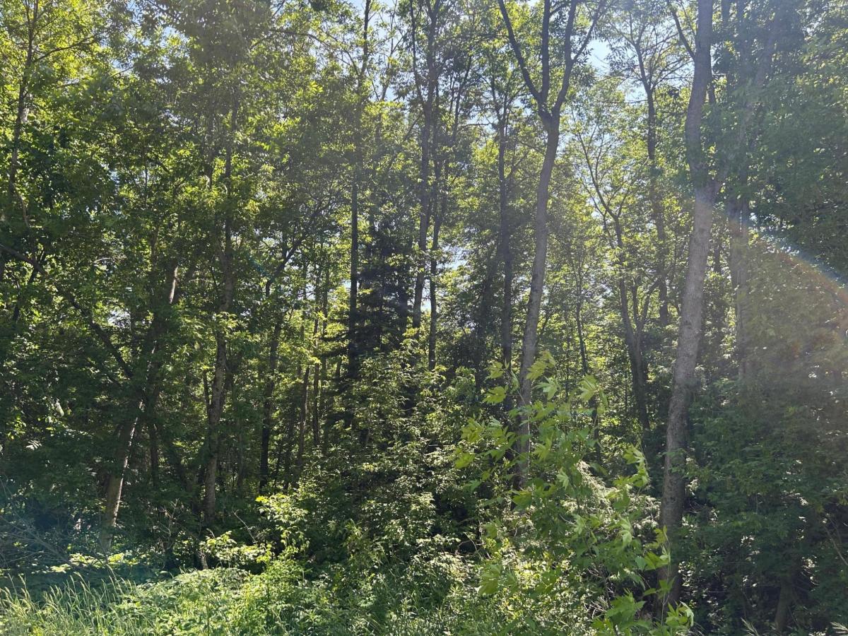 MLS #NST7096108 image #0