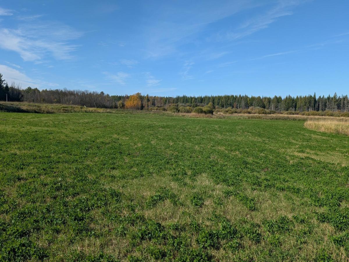 MLS #NST7097032 image #0