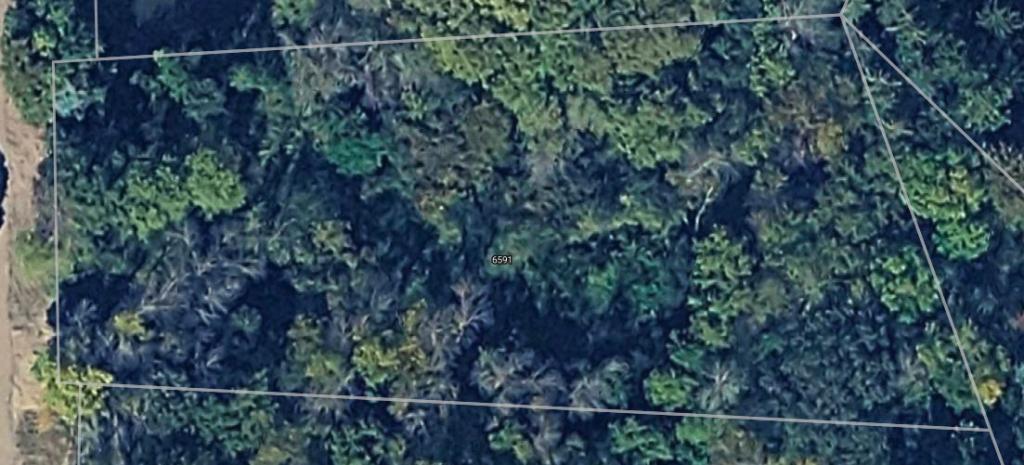 MLS #NST7108002 image #0