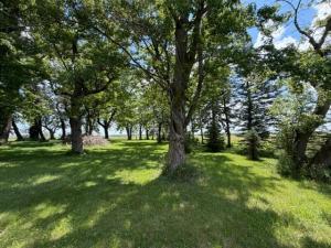 MLS #NST7111139 image #0