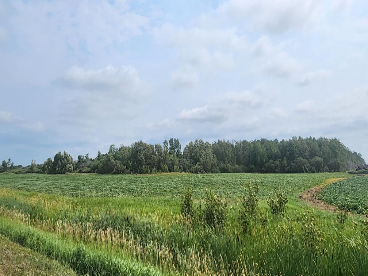 MLS #NST7115848 image #0