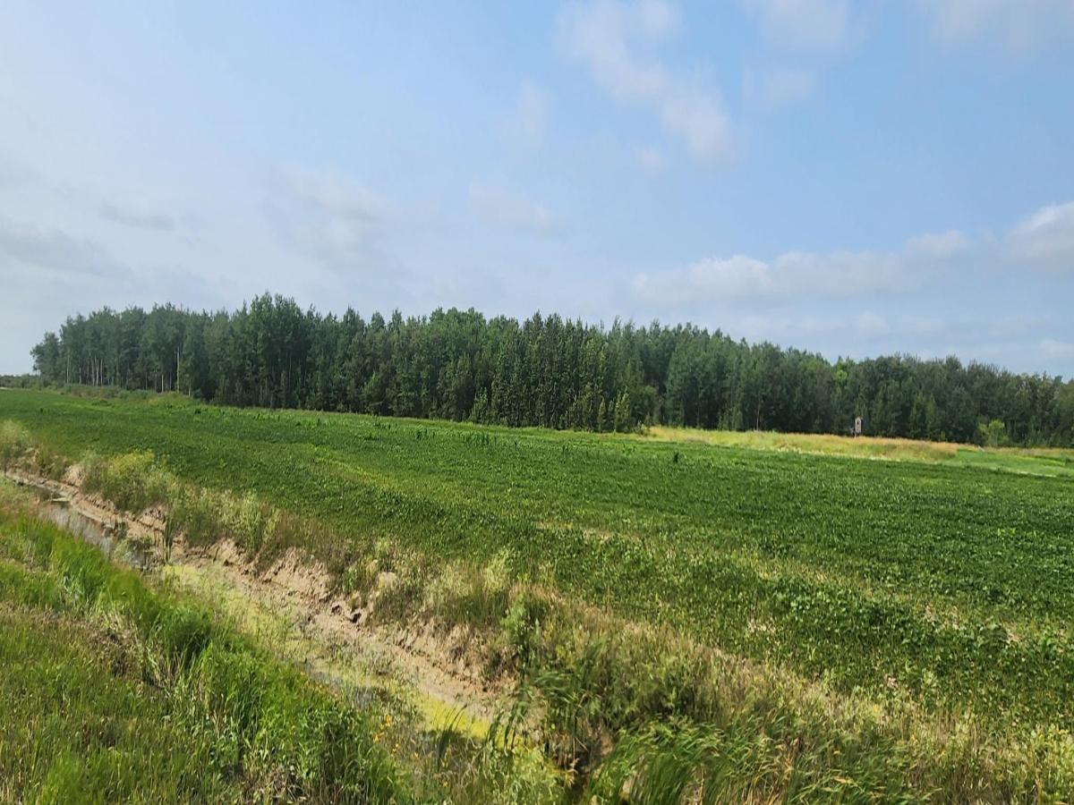 MLS #NST7116074 image #0