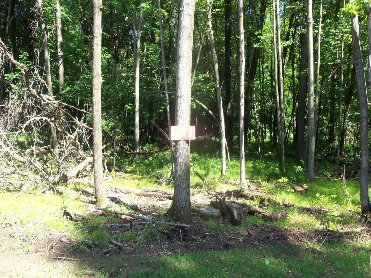 MLS #NST7116253 image #0