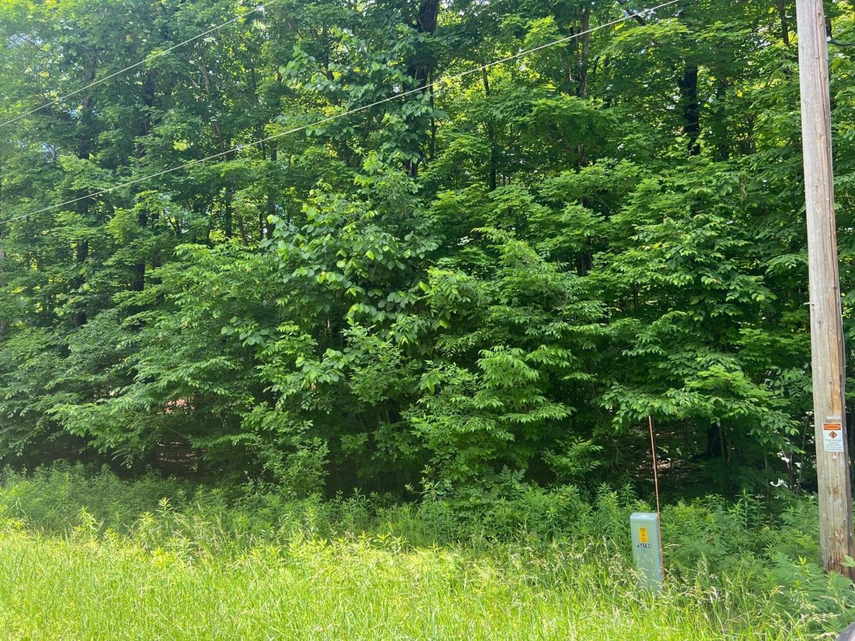 MLS #NST7118640 image #0
