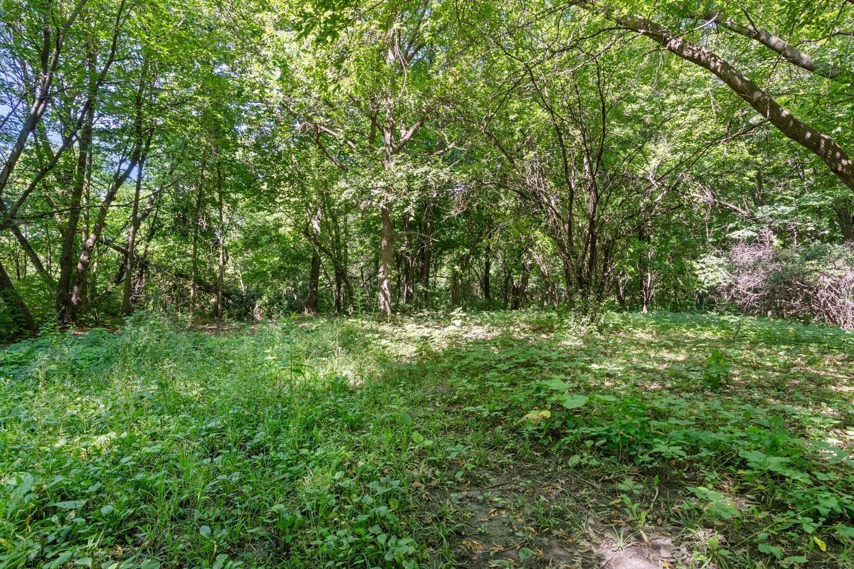 MLS #NST7119846 image #0