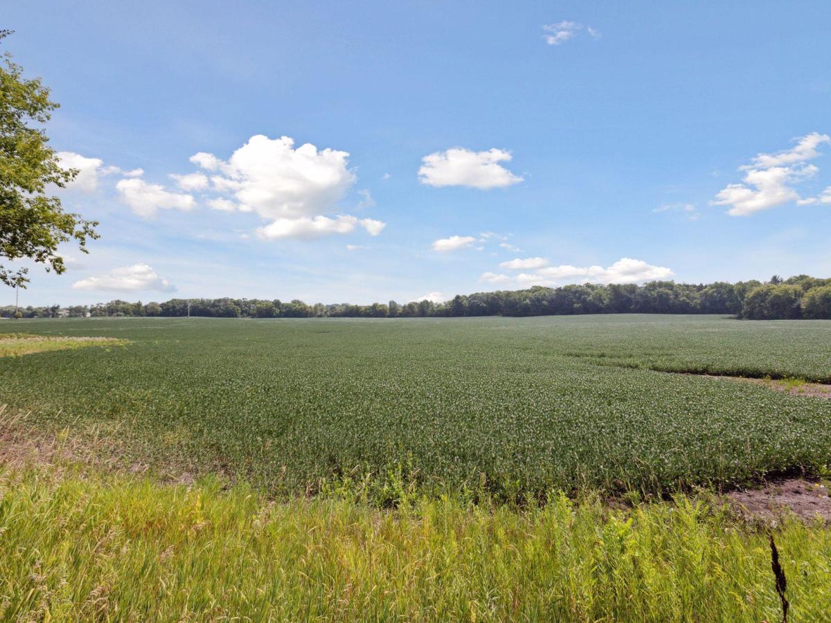MLS #NST7120106 image #0
