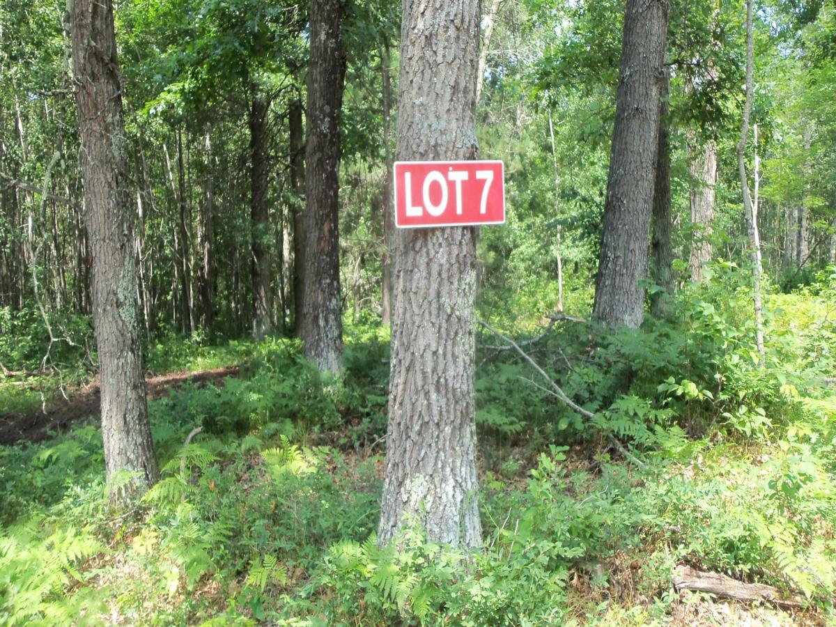 MLS #NST7120163 image #0