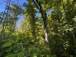 MLS #NST7123752 image #0