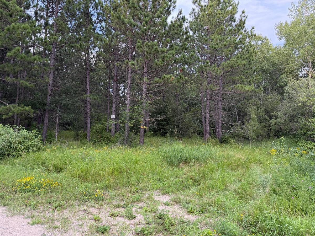 MLS #NST7126471 image #0