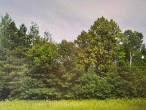 MLS #NST7127614 image #0