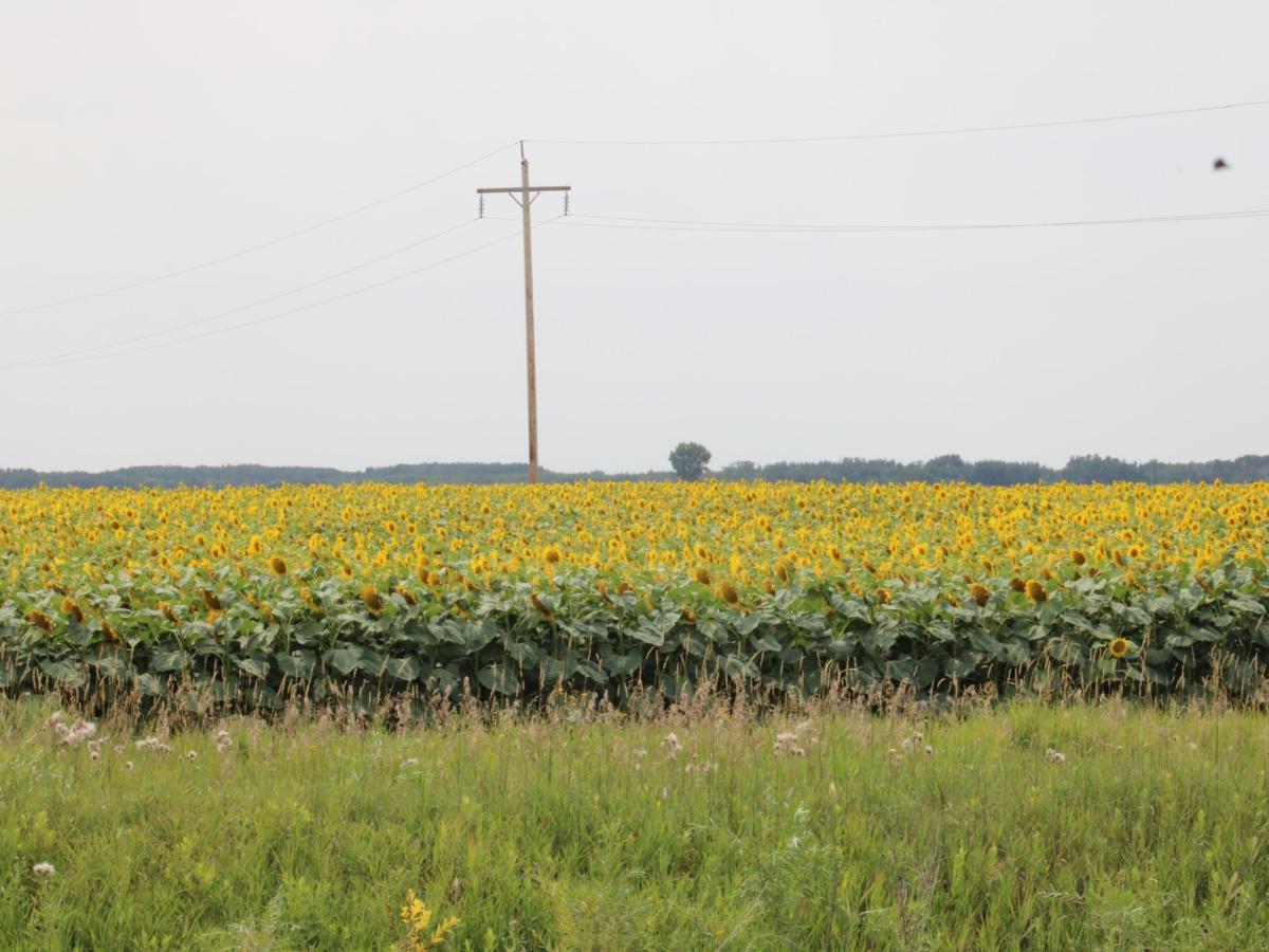 MLS #NST7127983 image #0