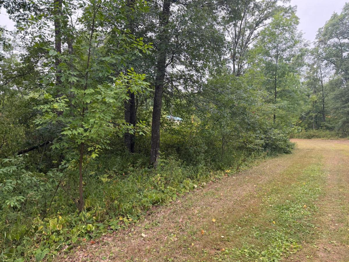 MLS #NST7128768 image #0