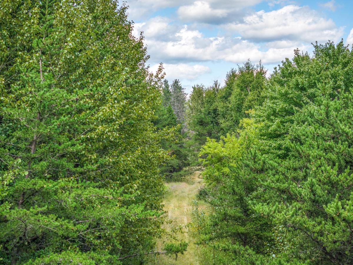 MLS #NST7132484 image #0