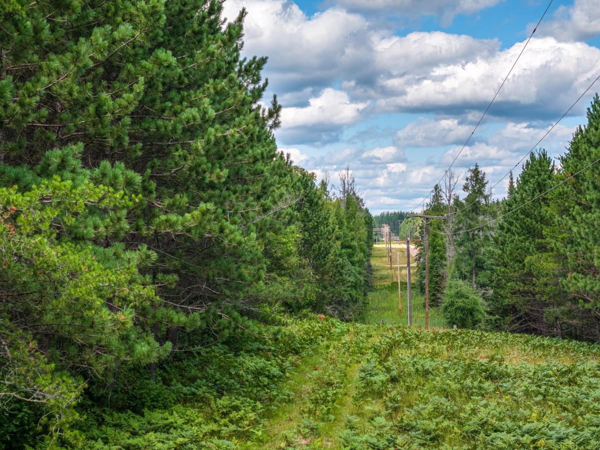 MLS #NST7132578 image #0