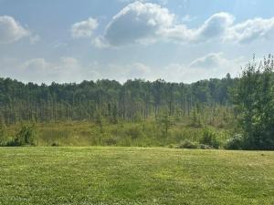 MLS #NST7132598 image #0