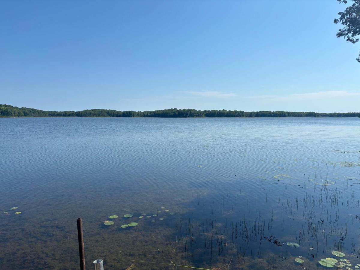 MLS #NST7133426 image #0