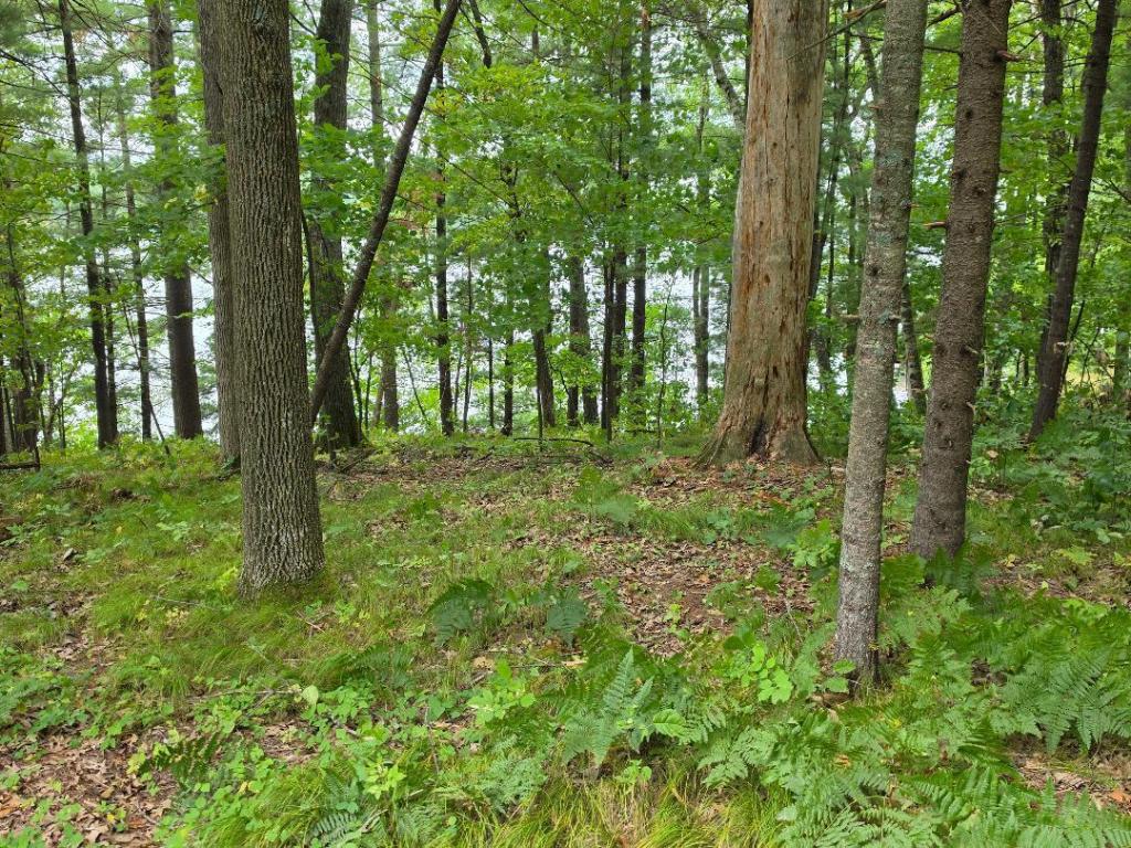 MLS #NST7135112 image #0