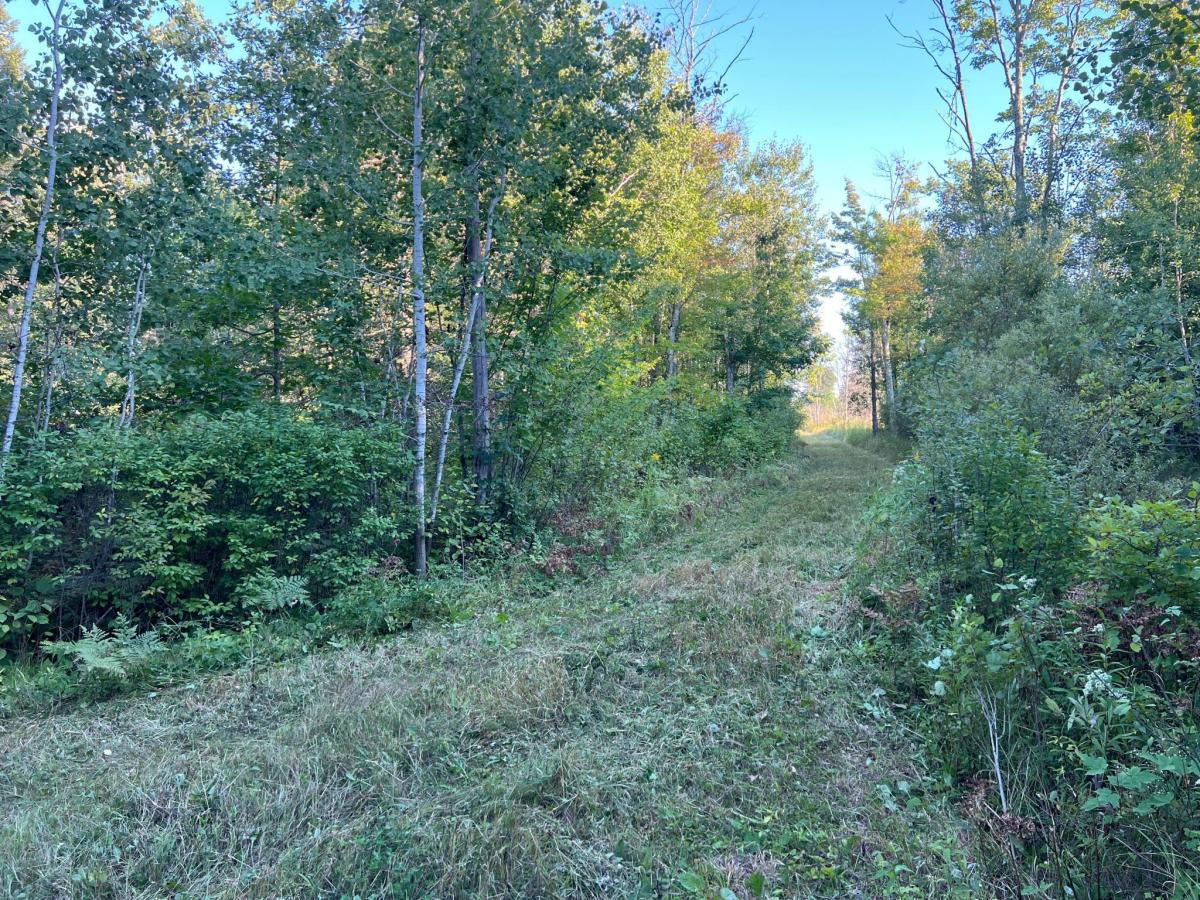 MLS #NST7135259 image #0