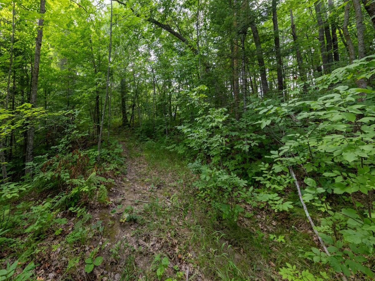 MLS #NST7136589 image #0