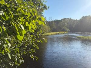MLS #NST7138336 image #0