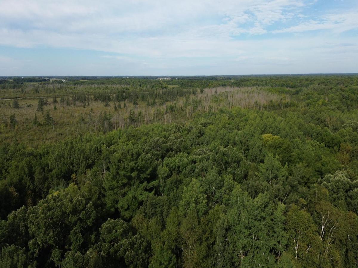 MLS #NST7139353 image #0