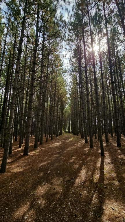 MLS #NST7139657 image #0