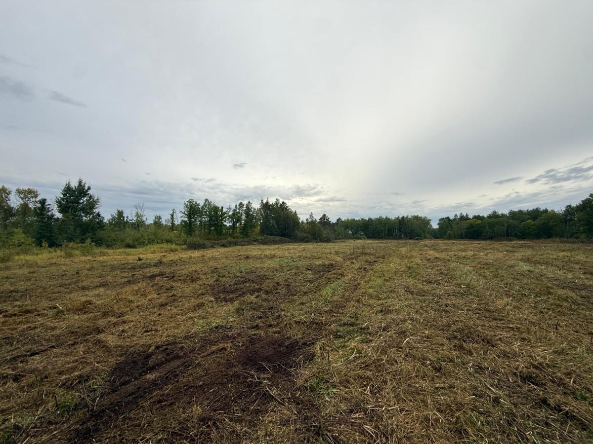 MLS #NST7141536 image #0