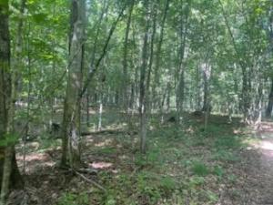 MLS #NST7141767 image #0