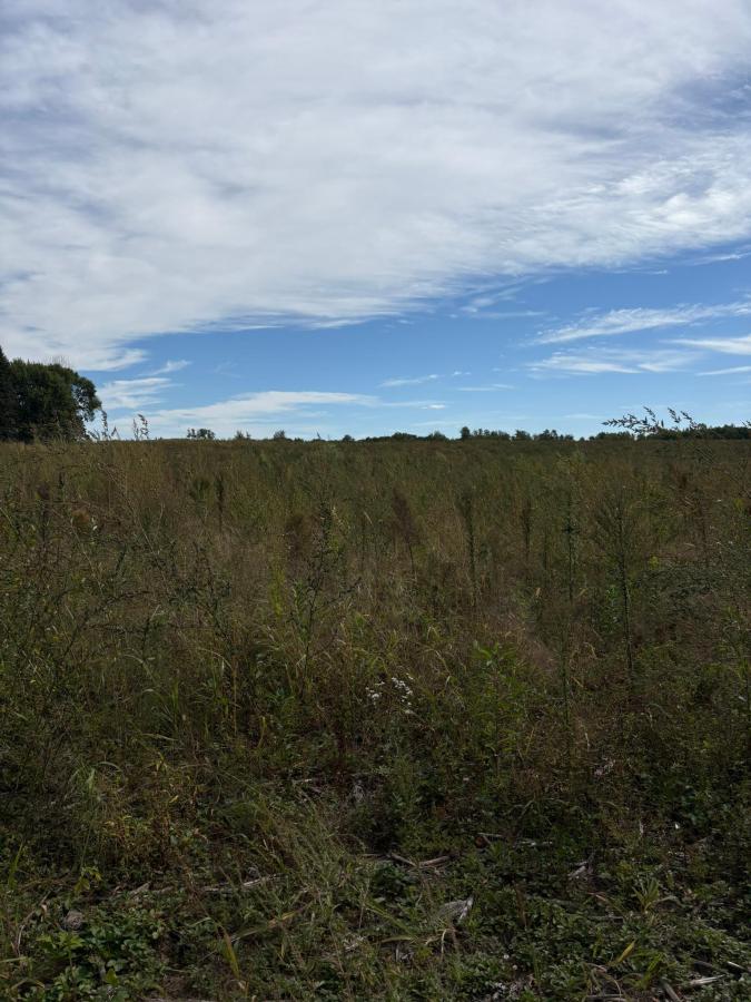MLS #NST7144140 image #0